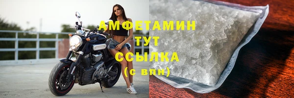 a pvp Новозыбков