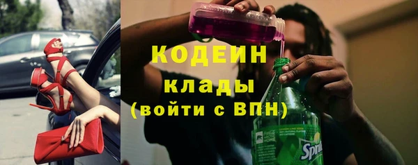 a pvp Новозыбков