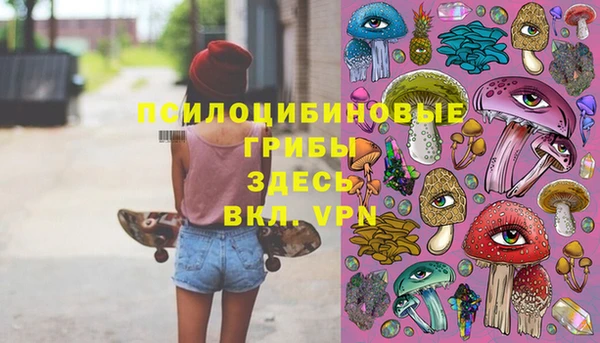 a pvp Новокубанск