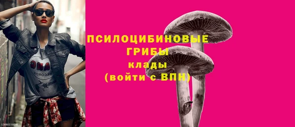 a pvp Новокубанск
