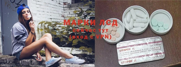 a pvp Новозыбков