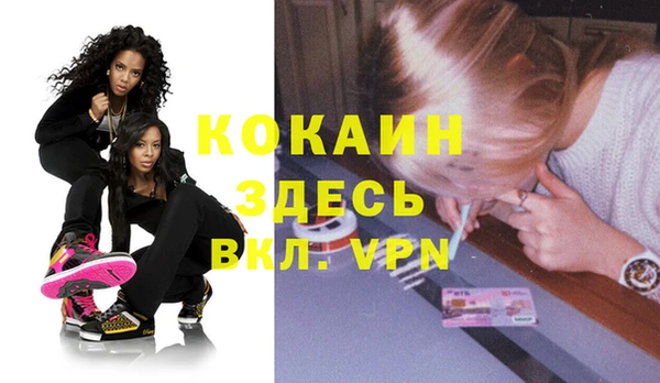 a pvp Новозыбков