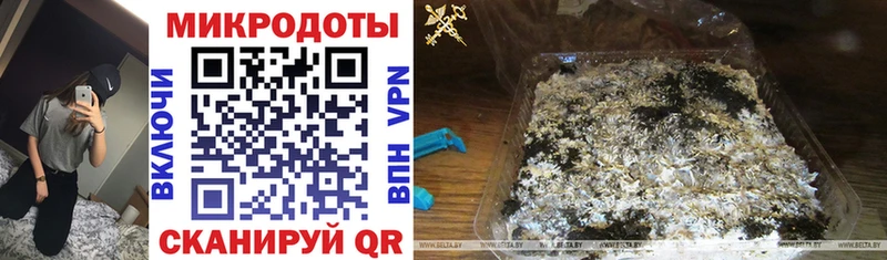 Псилоцибиновые грибы прущие грибы  Бирюч 