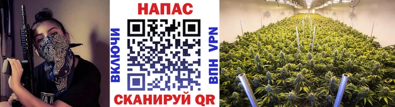 Бошки марихуана Amnesia  mega ТОР  Бирюч  купить наркотики сайты 